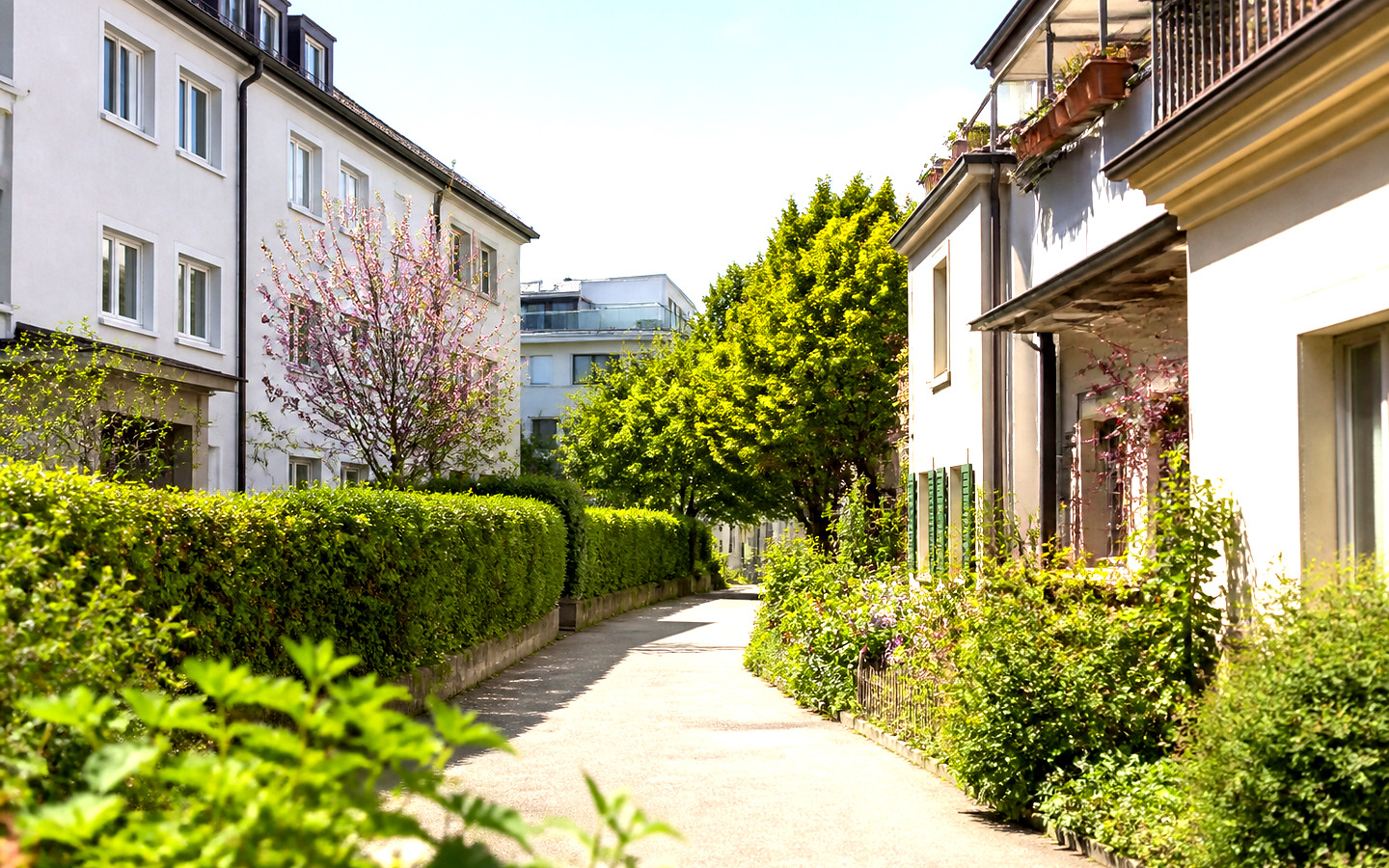 Bestehende Quartiere als helles Symbolbild für schallmoos.com